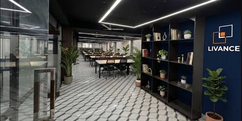 Open-plan floor with long desks, a bookshelf with plants and a navy wall carrying the Livance logo